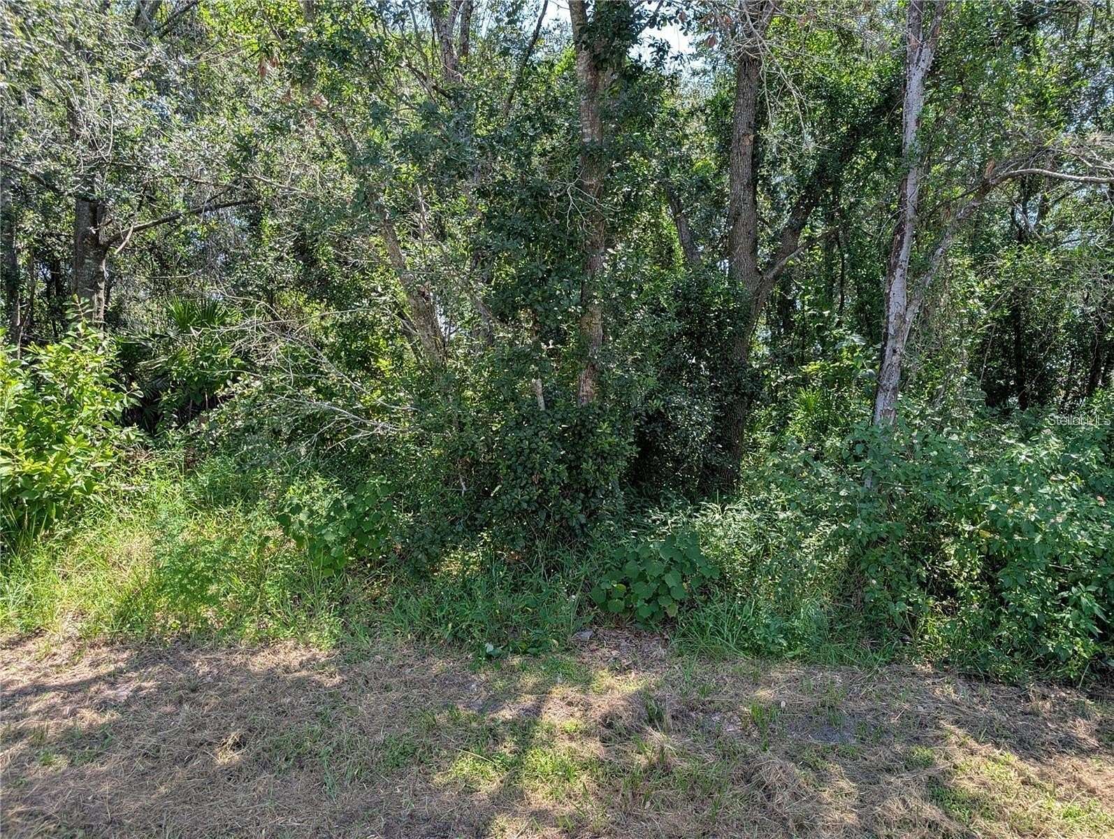 0.2 Acres of Residential Land for Sale in Poinciana, Florida