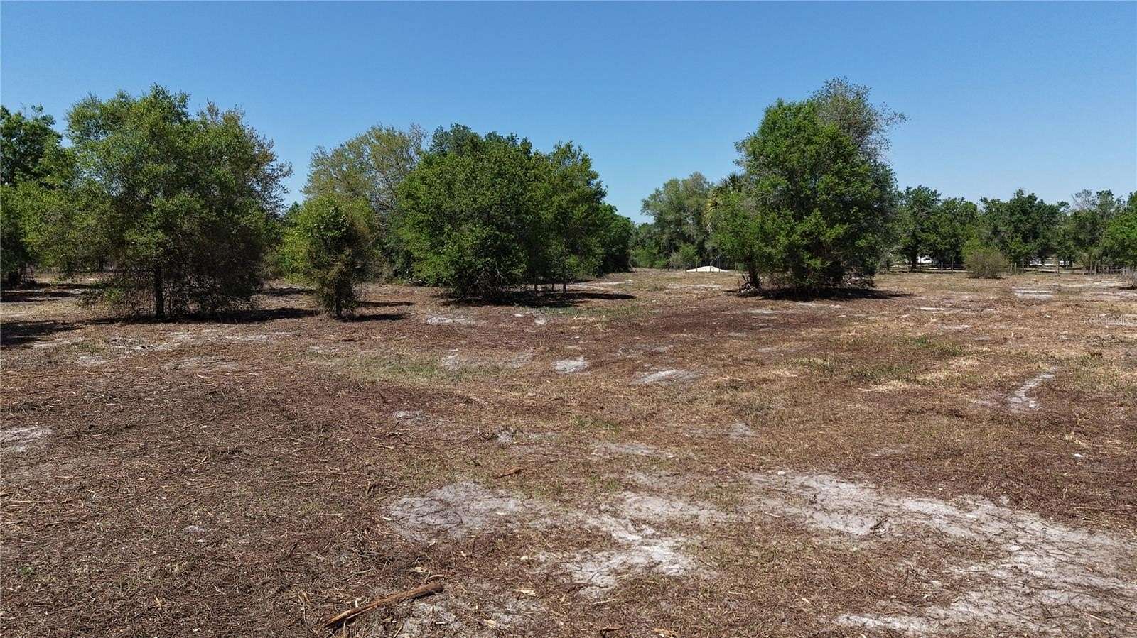 2.5 Acres of Residential Land for Sale in Okeechobee, Florida