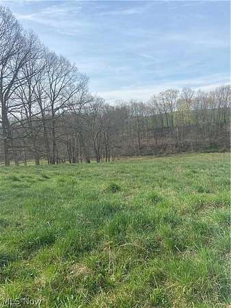 9 Acres of Residential Land for Sale in Bethesda, Ohio