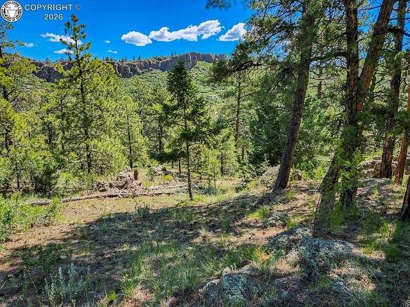 36.5 Acres of Recreational & Residential Land for Sale in Cañon City, Colorado