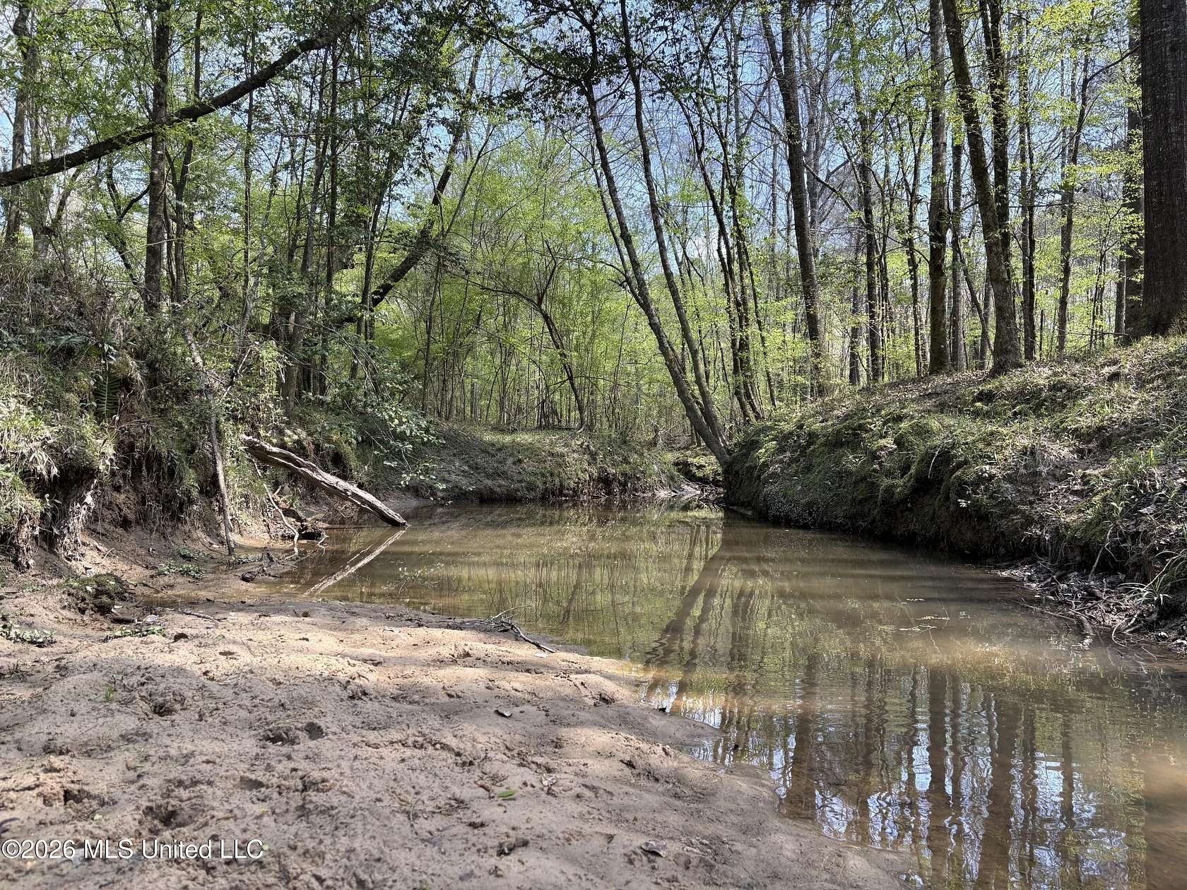 30 Acres of Recreational & Residential Land for Sale in Bogue Chitto, Mississippi