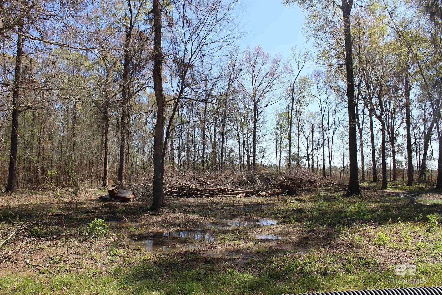 3 Acres of Land for Sale in Lowndesboro, Alabama