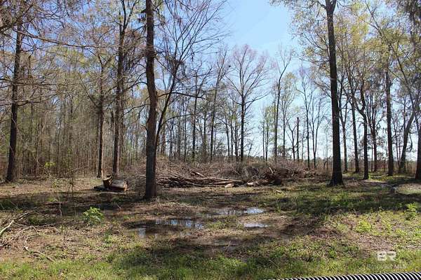 3 Acres of Land for Sale in Lowndesboro, Alabama