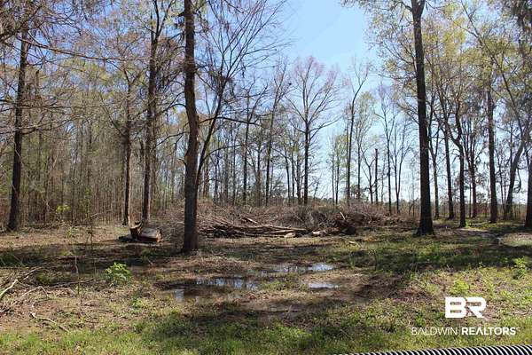 3 Acres of Land for Sale in Lowndesboro, Alabama
