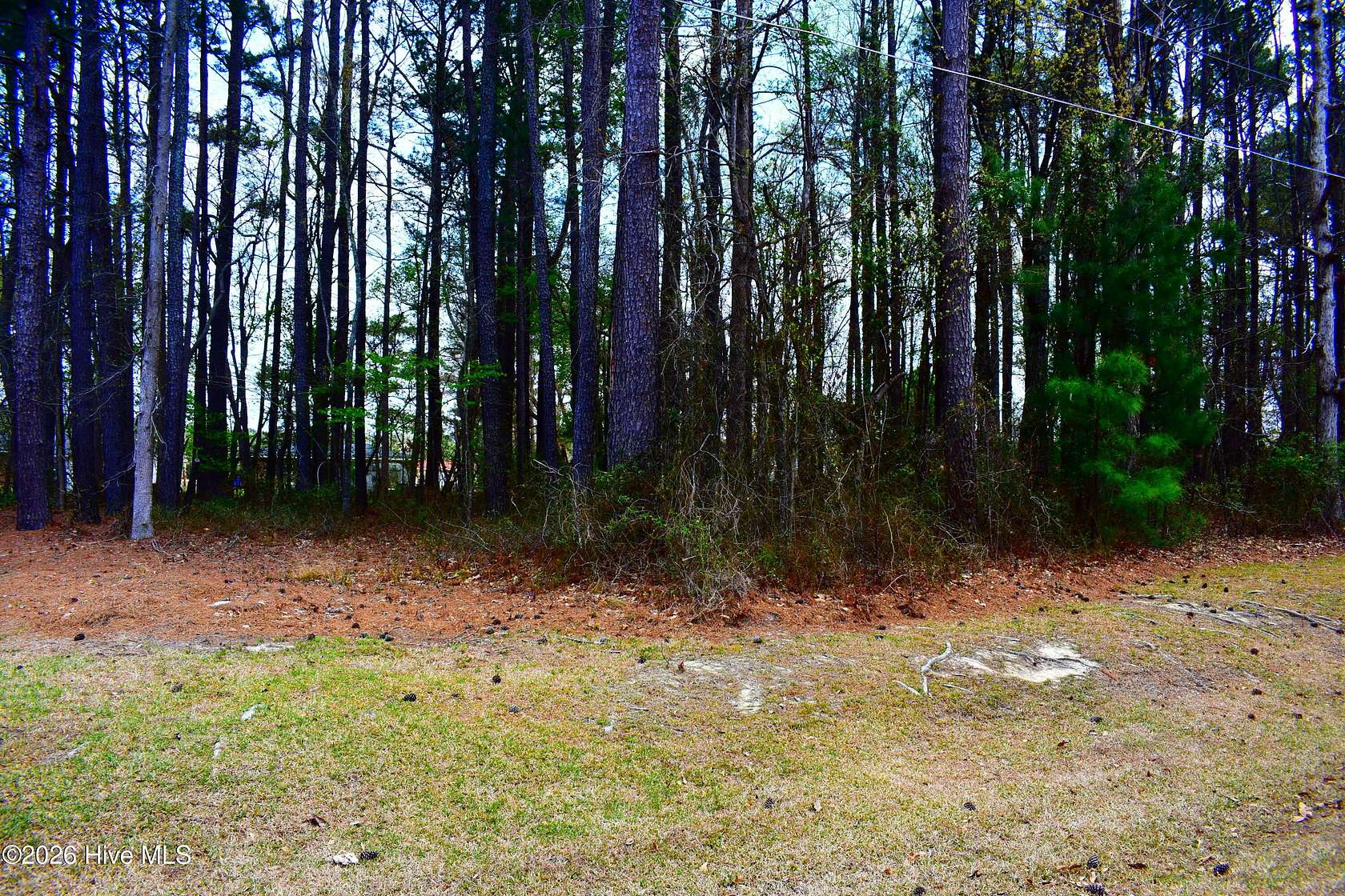 0.44 Acres of Residential Land for Sale in Saratoga, North Carolina