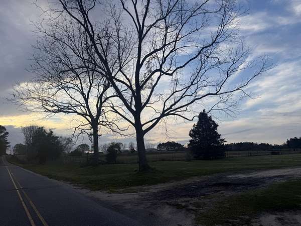 64 Acres of Agricultural Land for Sale in Laurel Hill, Florida