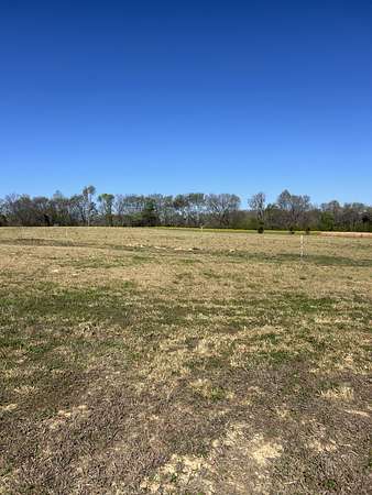 1 Acre of Residential Land for Sale in Leoma, Tennessee