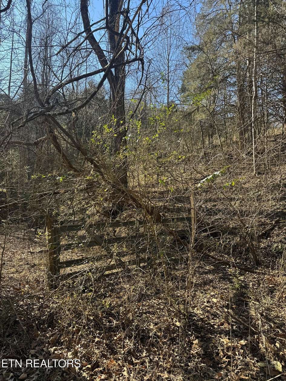 0.22 Acres of Land for Sale in New Tazewell, Tennessee