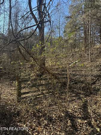 0.22 Acres of Land for Sale in New Tazewell, Tennessee