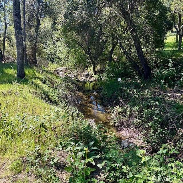 36.8 Acres of Land for Sale in King City, California