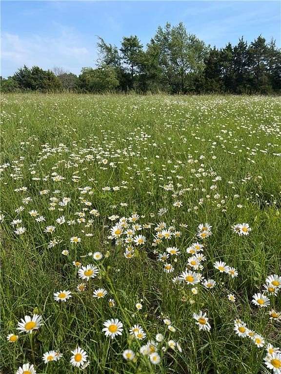 5 Acres of Residential Land for Sale in Hindsville, Arkansas