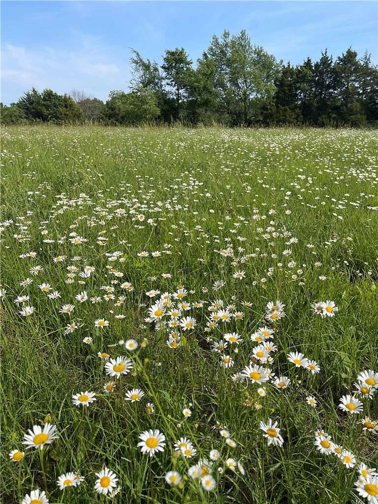 5 Acres of Residential Land for Sale in Hindsville, Arkansas