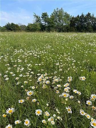 5 Acres of Residential Land for Sale in Hindsville, Arkansas