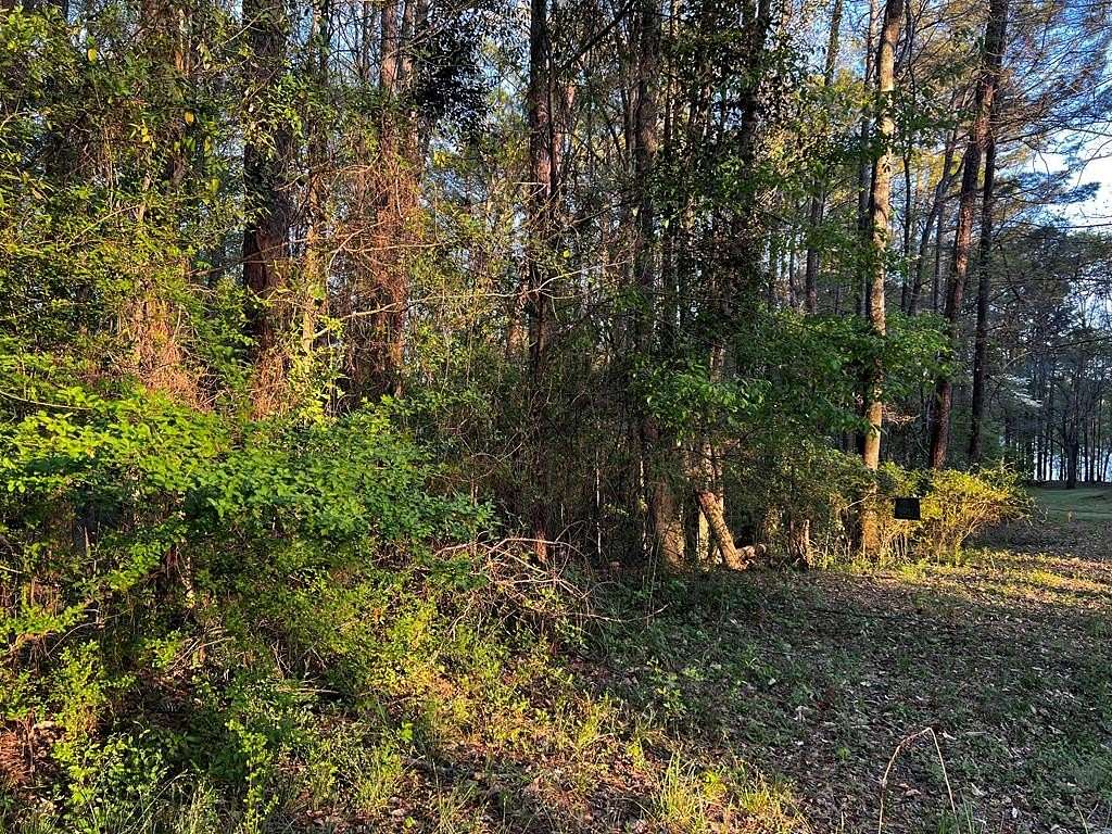 1 Acre of Residential Land for Sale in LaGrange, Georgia