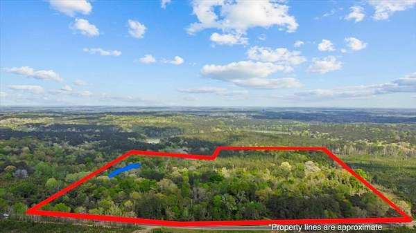 59 Acres of Land for Sale in Ozark, Alabama
