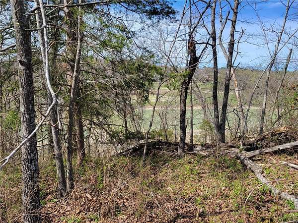 0.29 Acres of Residential Land for Sale in Bella Vista, Arkansas