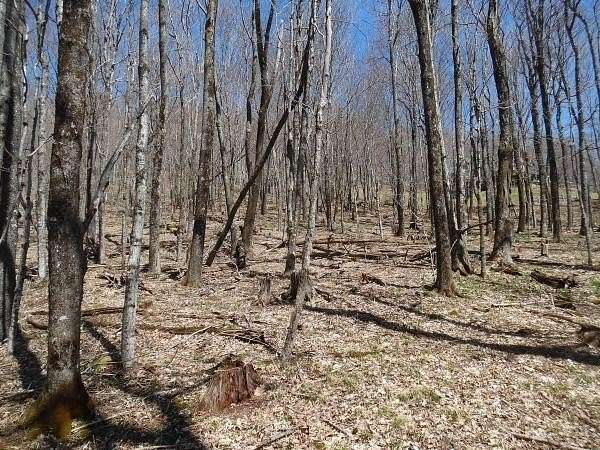 2 Acres of Land for Sale in Slaty Fork, West Virginia