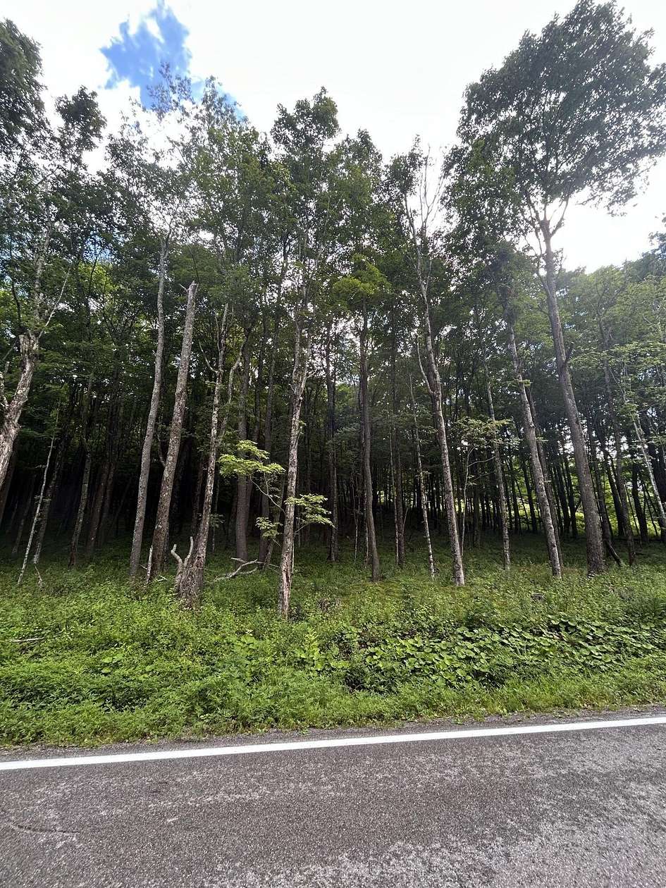 2 Acres of Land for Sale in Slaty Fork, West Virginia