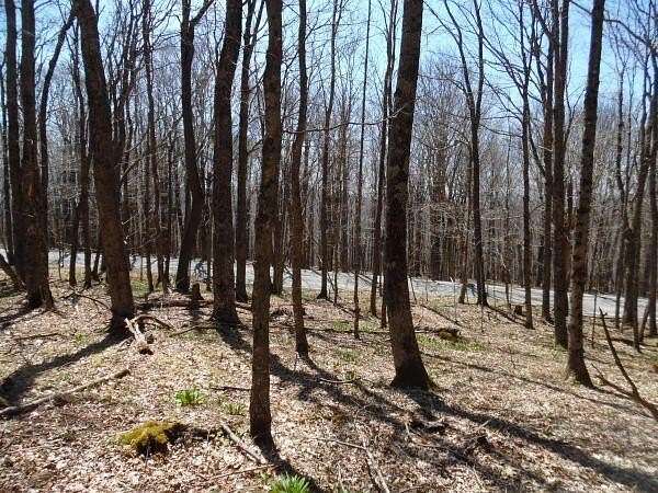 2 Acres of Land for Sale in Slaty Fork, West Virginia