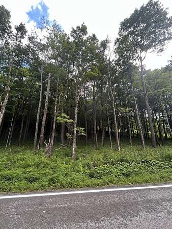 2 Acres of Land for Sale in Slaty Fork, West Virginia