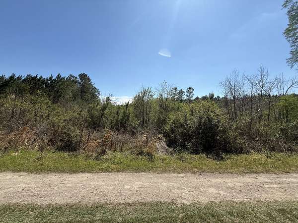 1.6 Acres of Residential Land for Sale in Hemingway, South Carolina