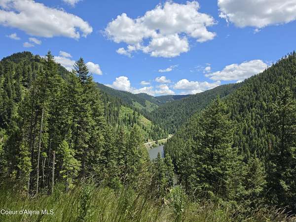 44.7 Acres of Recreational & Residential Land for Sale in Avery, Idaho