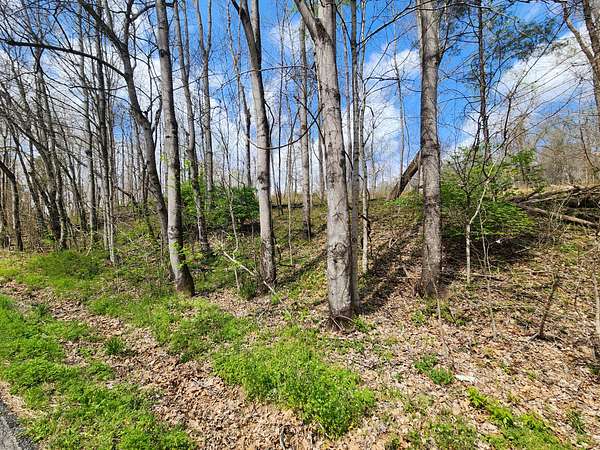 1.5 Acres of Residential Land for Sale in Ashland City, Tennessee