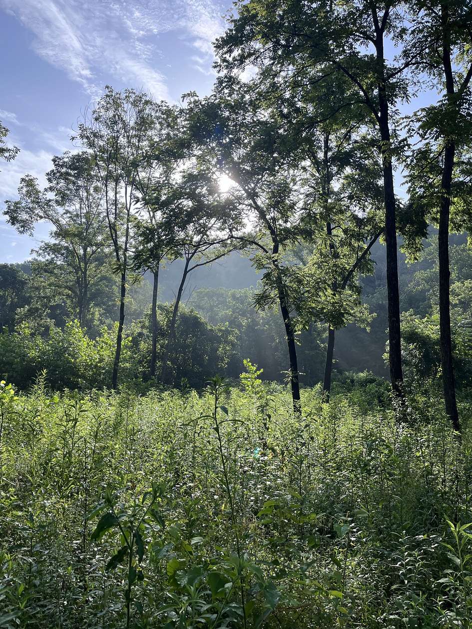 8 Acres of Residential Land for Sale in Ashland City, Tennessee
