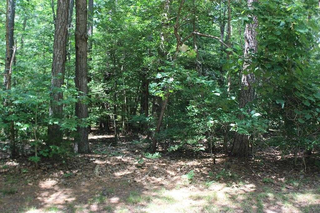 0.24 Acres of Land for Sale in Greenbackville, Virginia