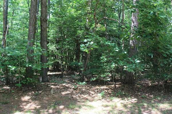 0.24 Acres of Residential Land for Sale in Greenbackville, Virginia