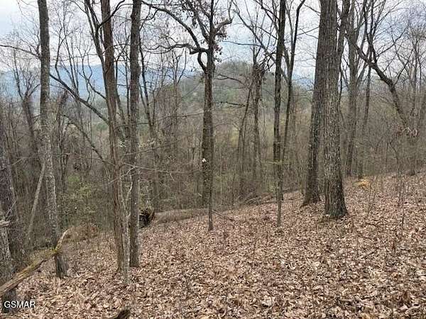 17 Acres of Land for Sale in Sevierville, Tennessee