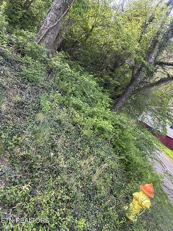 0.12 Acres of Residential Land for Sale in Knoxville, Tennessee