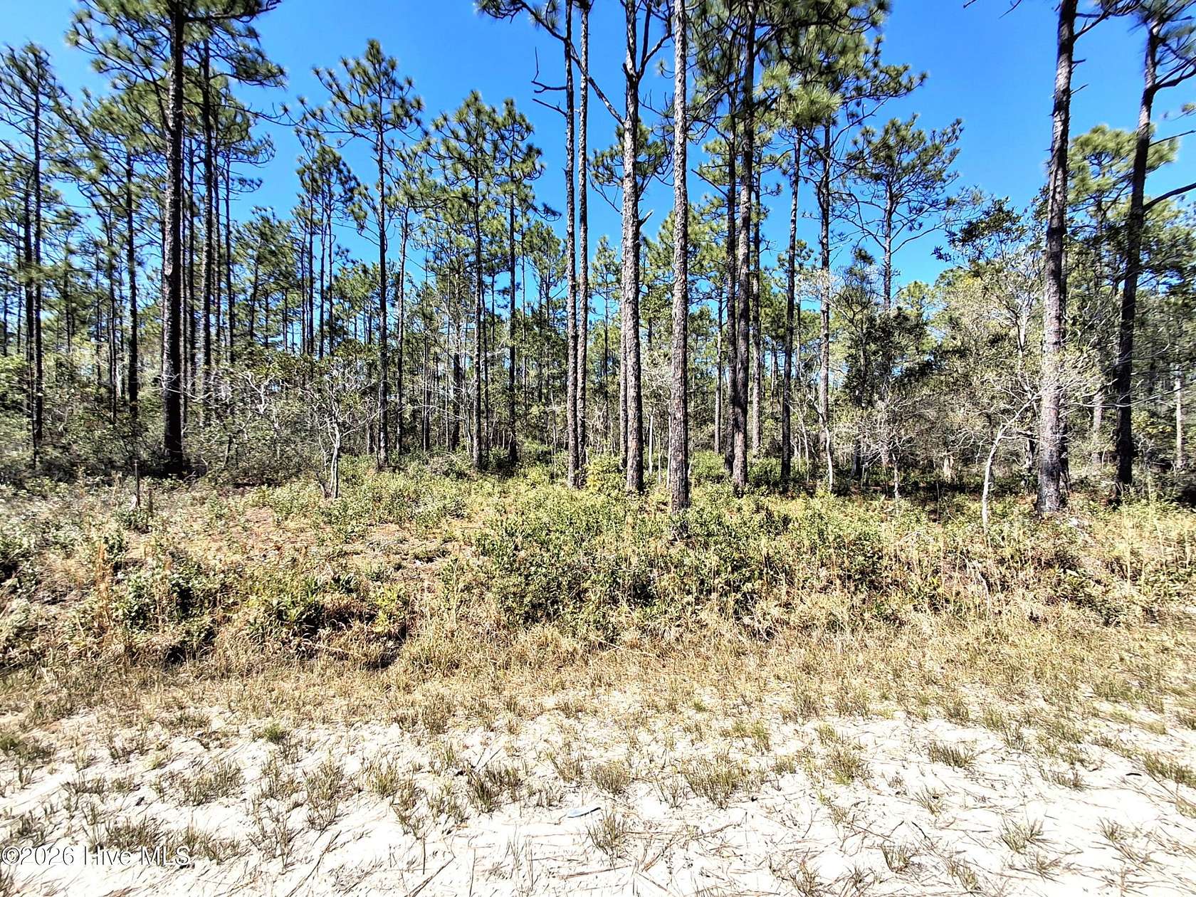 0.25 Acres of Land for Sale in Boiling Spring Lakes, North Carolina