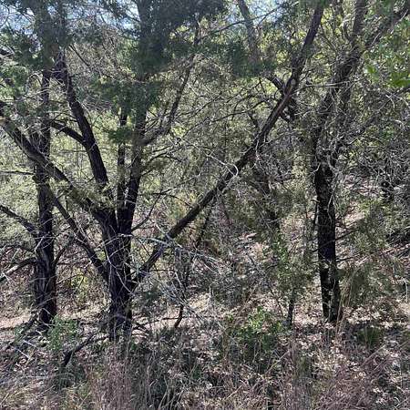 0.38 Acres of Land for Sale in Marble Falls, Texas