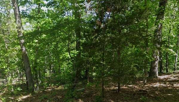 0.37 Acres of Residential Land for Sale in Bella Vista, Arkansas