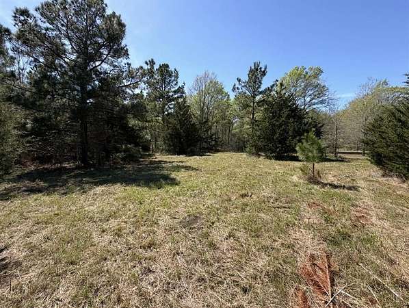 15 Acres of Recreational & Residential Land for Sale in Oakwood, Texas