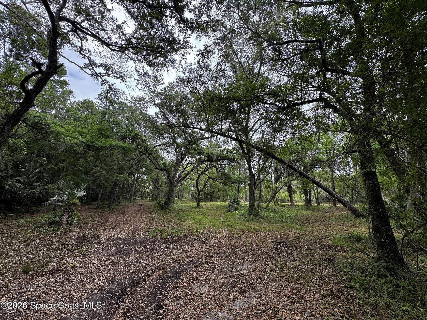 22.2 Acres of Land for Sale in Mims, Florida