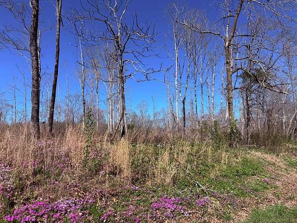 Land for Sale in Sparta, Tennessee