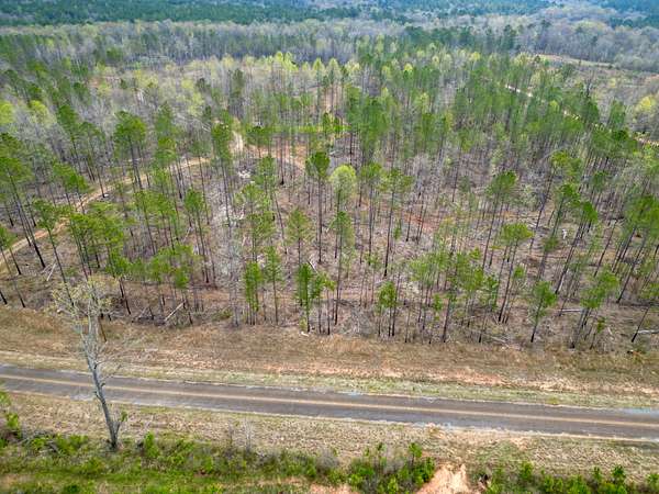 72 Acres of Recreational & Residential Land for Sale in Wadley, Alabama