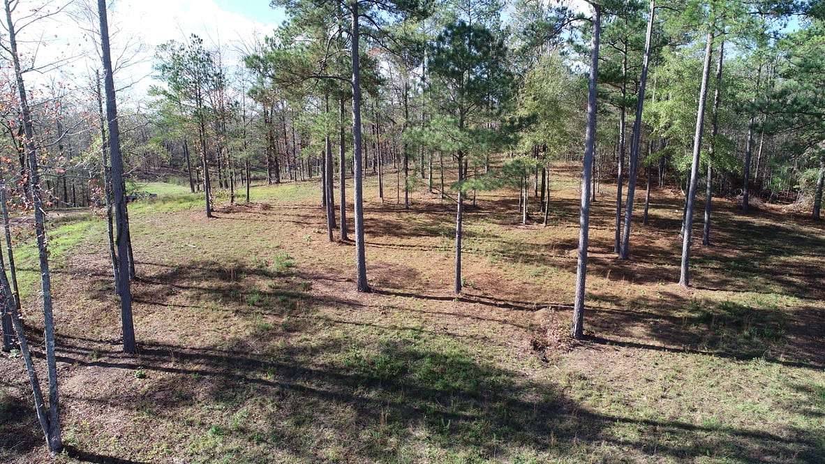 91 Acres of Recreational & Residential Land for Sale in Westover, Alabama