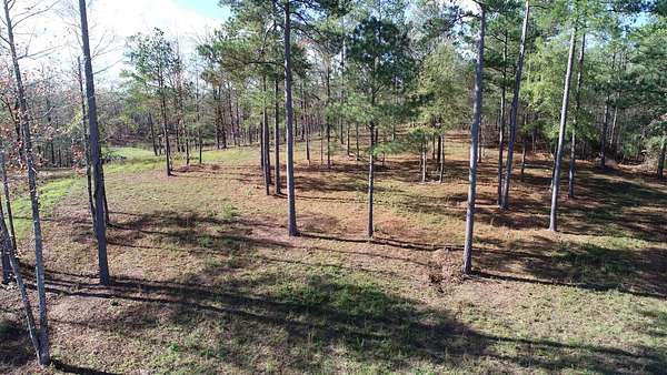 91 Acres of Recreational & Residential Land for Sale in Westover, Alabama