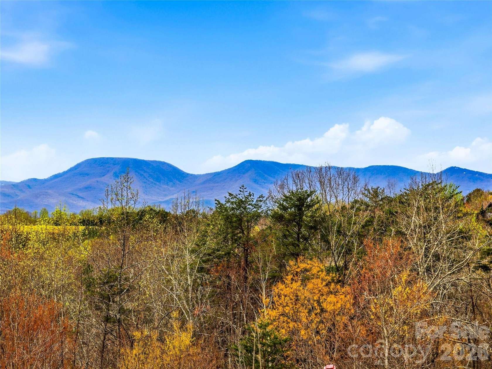 6.23 Acres of Land with Home for Sale in Columbus, North Carolina