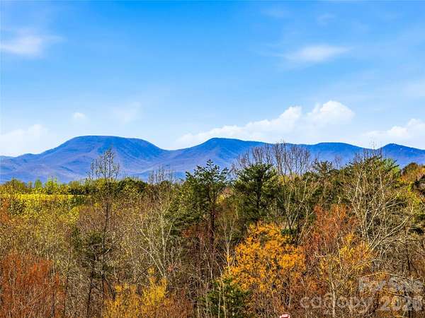 6.23 Acres of Land with Home for Sale in Columbus, North Carolina