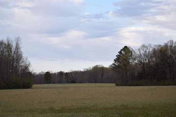 32.5 Acres of Land for Sale in Williston, Tennessee
