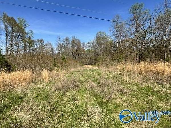 19 Acres of Recreational Land for Sale in Stevenson, Alabama