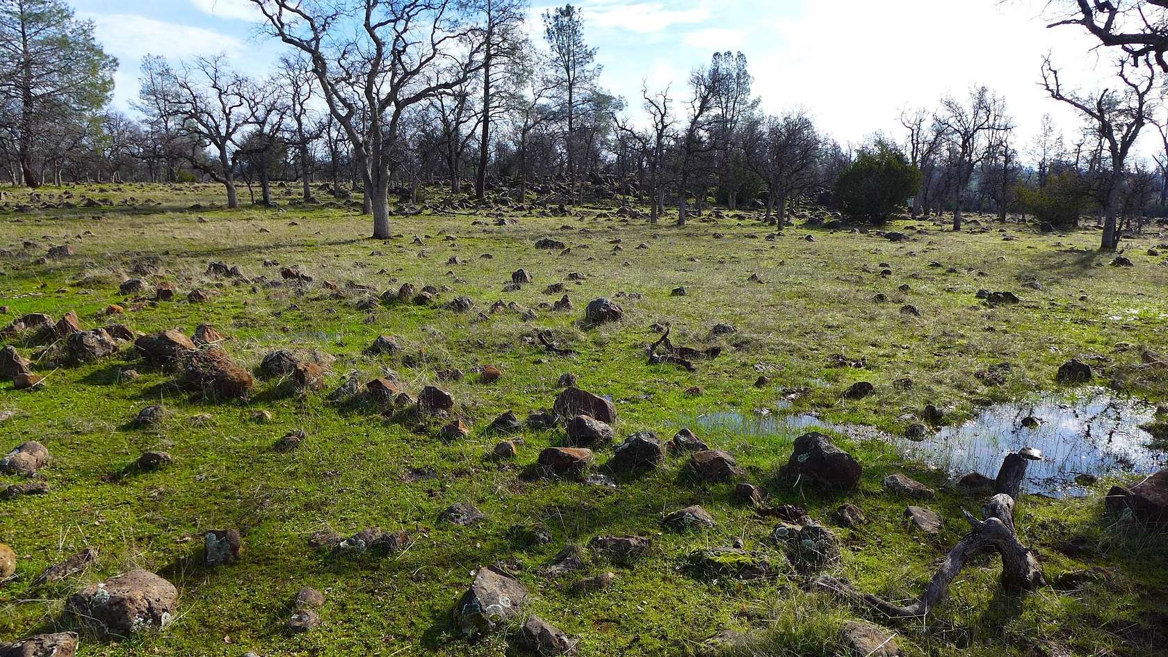 40.4 Acres of Recreational & Residential Land for Sale in Anderson, California