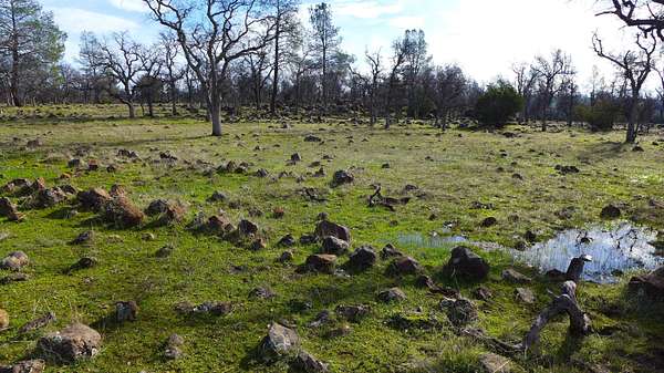 40.4 Acres of Recreational & Residential Land for Sale in Anderson, California