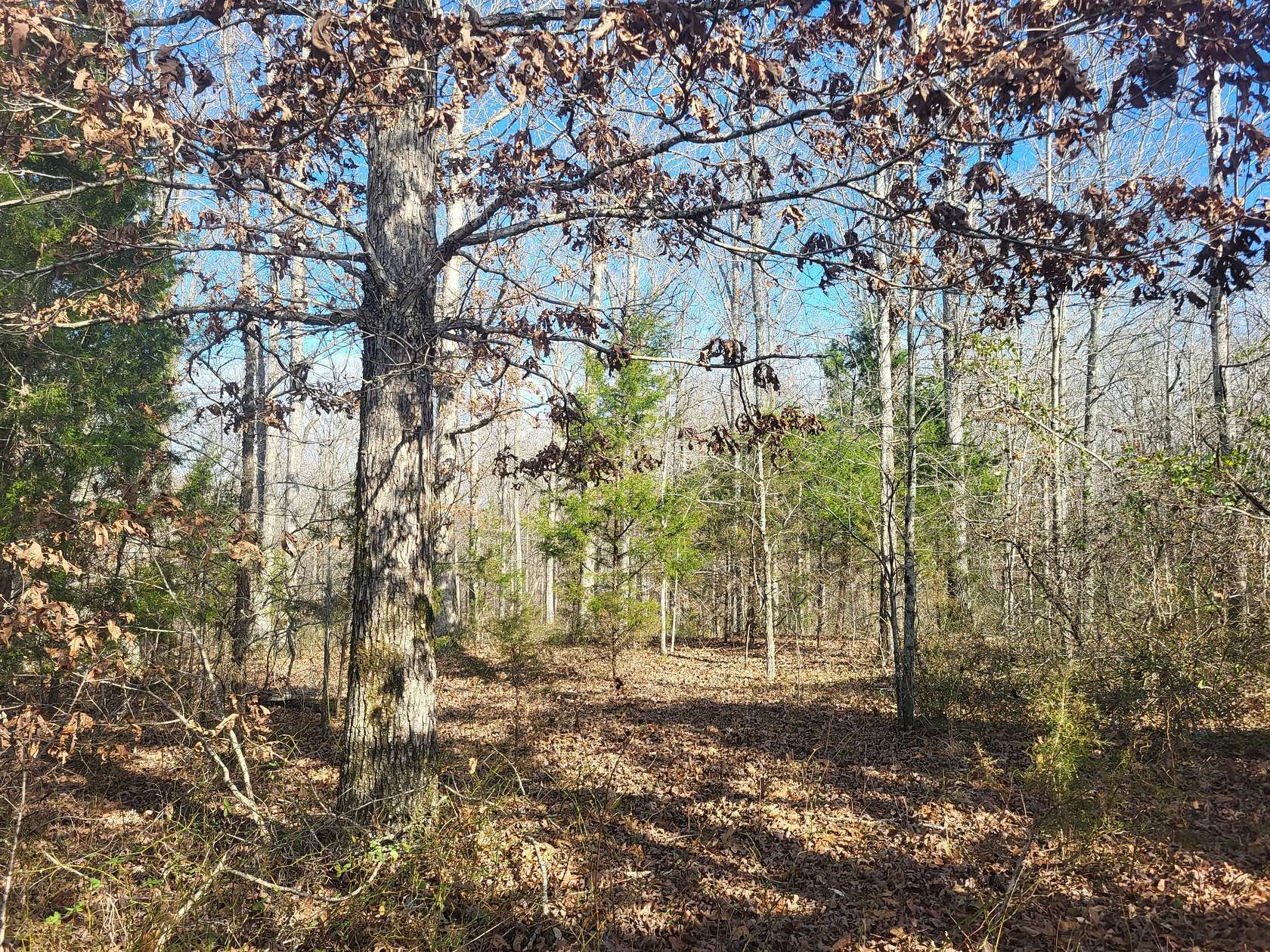 7.25 Acres of Residential Land for Sale in Sparta, Tennessee