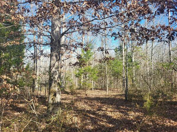 7.25 Acres of Residential Land for Sale in Sparta, Tennessee