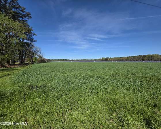 21 Acres of Recreational & Residential Land for Sale in Albertson, North Carolina
